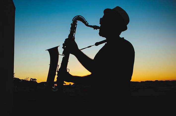 Soundly Organized Humanity