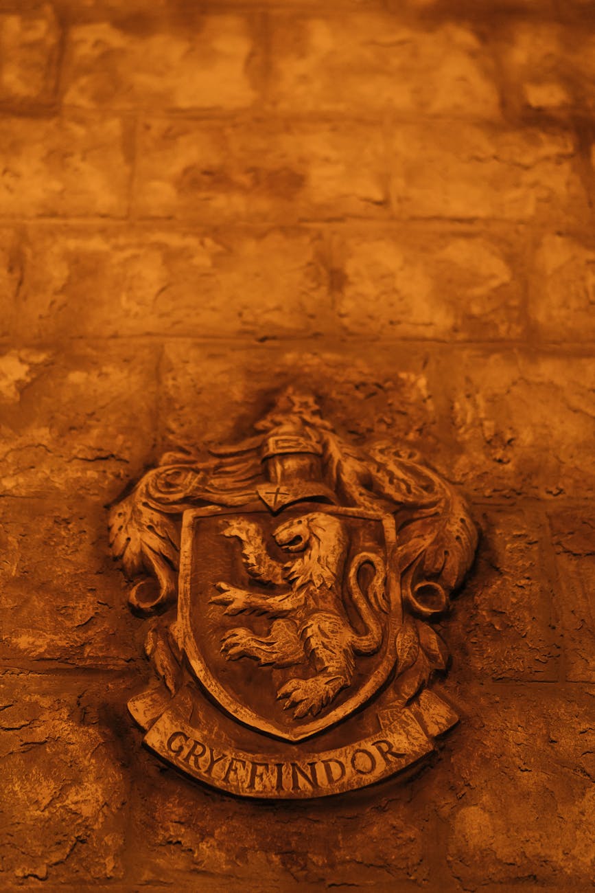 gryffindor emblem on wall